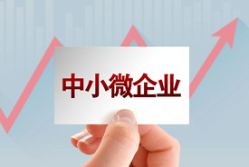 制造业小微企业如何申报延缓缴纳部分税费？